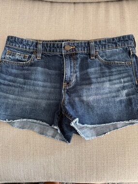Gap Women’s size 10 / 30 Sexy Boyfriend Raw Hem Jean Shorts